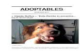Adoptables Boletín  29-08-10 >> perros y gatos en adopción