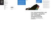 Innovación en sentido amplio: Un modelo empresarial. Análisis conceptual y empírico (2010)