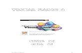 Guia de Visual Basic 6