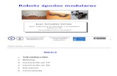 2010-04-14-Robots ápodos modulares-Hispabot