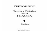Trevor Wye Teoria y Practica de La Flauta Volumen 1 (Sonido)