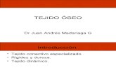 Histologia - 08 - Tejido oseo.11.05.09