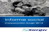 Informe social 2015