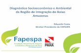 Diagnóstico Baixo Amazônas - PPA