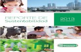 Reporte de sustentabilidad 2013 Mastellone hnos