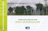 Reporte del sector seguridad 2006 informe nacional nicaragua pdf