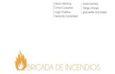 Boletín Brigada de Incendios 2015