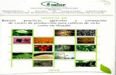 Manual de buenas practicas agricolas y estimacion de costos de produccion para cultivos
