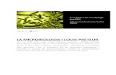 Louis Pasteur i la Microbiologia