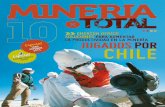 Revista Mineria Total Nº 10 (Junio 2015)