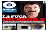 Reporte Indigo: LA FUGA INCREÍBLE 13 Julio 2015