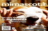 Revista Mimascota n6 2015, Los a±os dorados de las mascotas