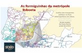 As formiguinhas da metrópole lisboeta — Análise dos transportes públicos na A.M. de Lisboa