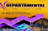 Gestión y Desarrollo Departamental