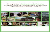 Proyecto Amazonía Viva: Sistematización de experiencias y contribución a la gobernanza forestal