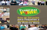 Guía de Servicios para PyMEs de Puerto Rico
