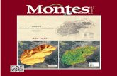 Montes, Revista de ámbito forestal. Número 117, II trimestre 2014