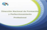 Dirección Nacional de Formación y Perfeccionamiento Profesional