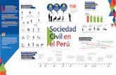 Infografía - Sociedad Civil en el Perú