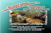 Boletín Coyuntura Económica de la Universidad de El Salvador 02