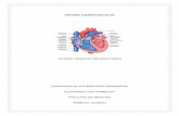 Sistema cardiovascular -->Sellen Ortega