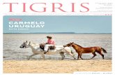 Revista Tigris - Eidico en casa (abril 2014)