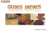 Presentación granos andinos