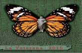 La Veterana 2016 (Llibret de la Falla La Mercè)