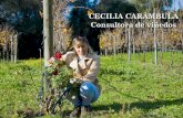 Cecilia Carámbula, consultora de viñedos