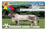 Periódico El Ganadero Cebuista Marzo 2016