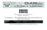 Judiciales 28 3 16