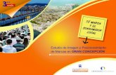 Brochure Estudio Imagen y Posicionamiento de Marca Gran Concepción 2016