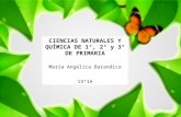 Ciencias Naturales y Quimica de 1°-3° de primaria