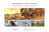 Report Onaga Birding  Noroeste India