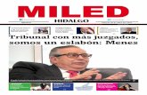 Miled Hidalgo 30 04 16