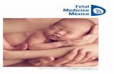 Fetal Medicine México, Num. 0