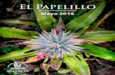 El Papelillo - Mayo 2016