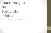 Portafolio digital macrofotografía argumedo angelica