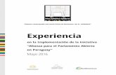 Experiencia Parlamento Abierto Paraguay