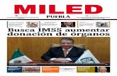 Miled Puebla 06 06 16