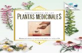Enciclopedia de las Plantas Medicinales