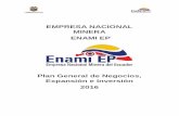 Plan de Negocios ENAMI EP 2016