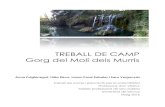 Treball de Camp al Gorg del Molí dels Murris. Puigfarregut, Risco, Sabater, Vergonyós.