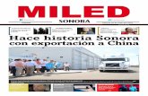 Miled Sonora 16 07 16