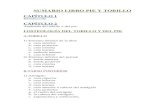 SUMARIO LIBRO PIE Y TOBILLO - Colección de Libros