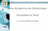 Curso de Prostodoncia Total 2011