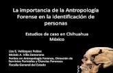 La importancia de la Antropología Forense en la identificación de ...