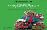 Una visión de salud intercultural para los pueblos indígenas de las ...