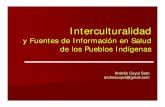 Interculturalidad y Salud Curso: “La Intervención en lo social ...