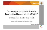 Estrategia para disminuir la mortalidad materna en México